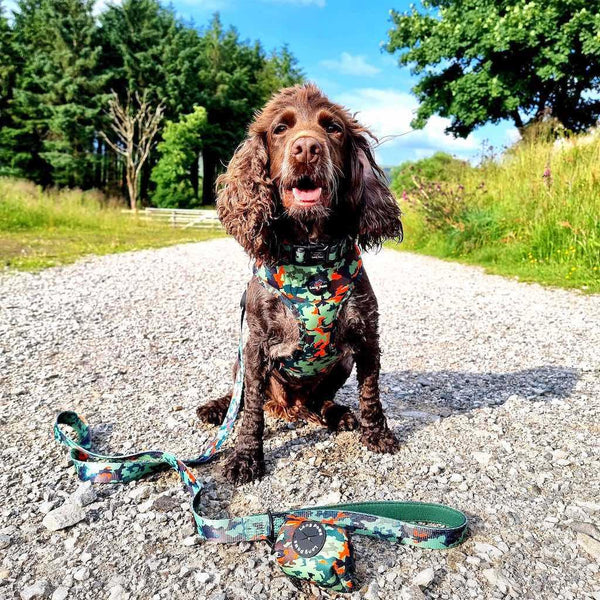 Citrus Camo Dog Lead - Long Paws