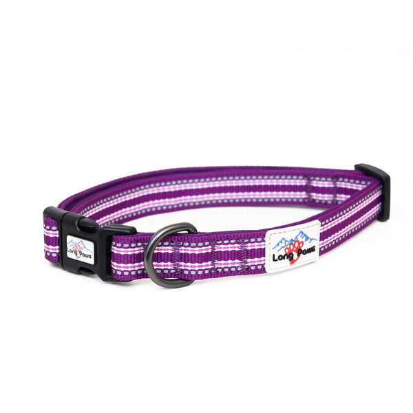 Comfort Dog Collar - Purple - Long Paws