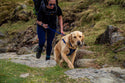 Comfort Rope Lead | SCREW Lock | Navy Blue | 48in / 120cm - Long Paws