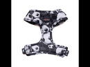 Funk The Dog Harness | B&W Footballs-4