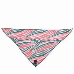 Funk The Dog Bandana | PinkGreen Zebra - Long Paws