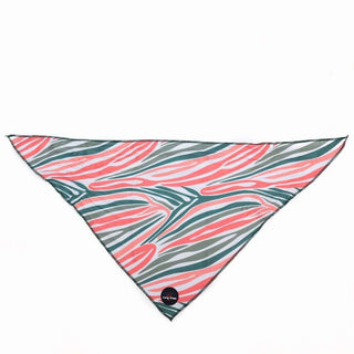 Funk The Dog Bandana | PinkGreen Zebra - Long Paws