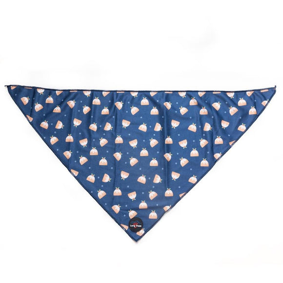 Funk The Dog Christmas Bandana | Blue Pudding