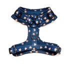 Funk The Dog Christmas Harness | Blue Pudding-5