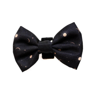 Funk the Dog Bow Tie | Night Sky - Long Paws