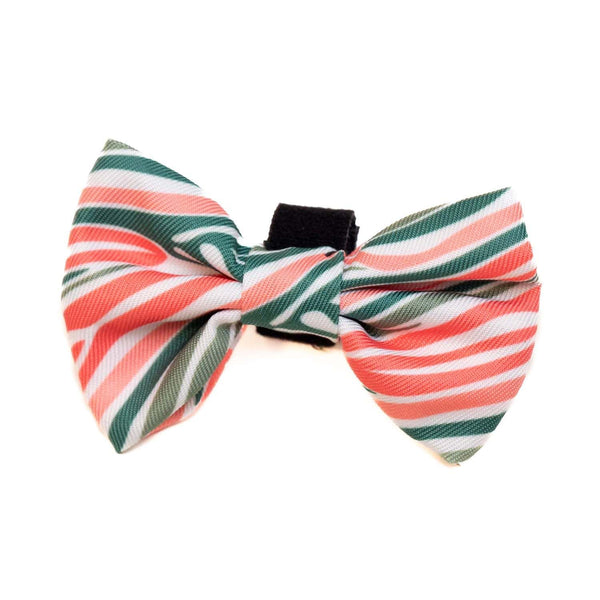 Funk The Dog Bow Tie | PinkGreen Zebra - Long Paws