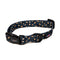 Leopard dog collar