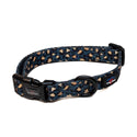 Funk the Dog Collar & Lead Set | Leopard Green & Gold