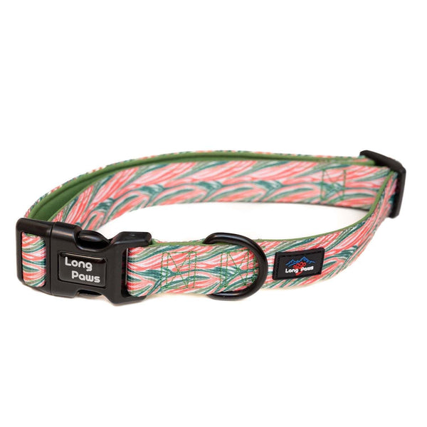 Funk The Dog Collar | PinkGreen Zebra - Long Paws