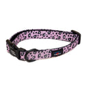 Funk The Dog Collar | Pink Leopard - Long Paws