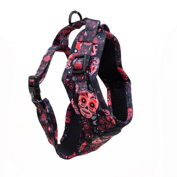 Skull and best sale crossbones dog harness