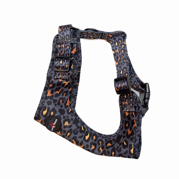 Funk The Dog Harness | GoldBlack Leopard - Long Paws