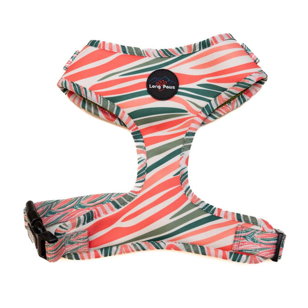 Funk The Dog Harness | PinkGreen Zebra - Long Paws