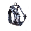 Funk The Dog Harness | B&W Footballs-10