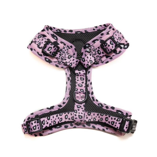 Funk The Dog Harness | Pink Leopard - Long Paws