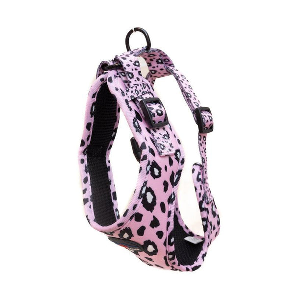 Funk The Dog Harness | Pink Leopard - Long Paws