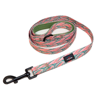 Funk The Dog Lead | PinkGreen Zebra - Long Paws