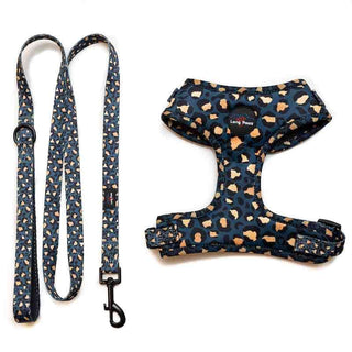 Funk the Dog Harness & Lead Set | Leopard Green & Gold