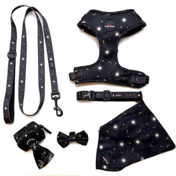 Funk the Dog Bow Tie | Night Sky - Long Paws