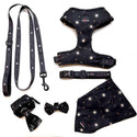Funk the Dog Harness | Night Sky - Long Paws