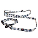 Funk the Dog Collar & Lead Set | Paint Splodge Grey-1