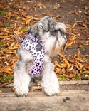 Funk The Dog Harness | Pink Leopard - Long Paws