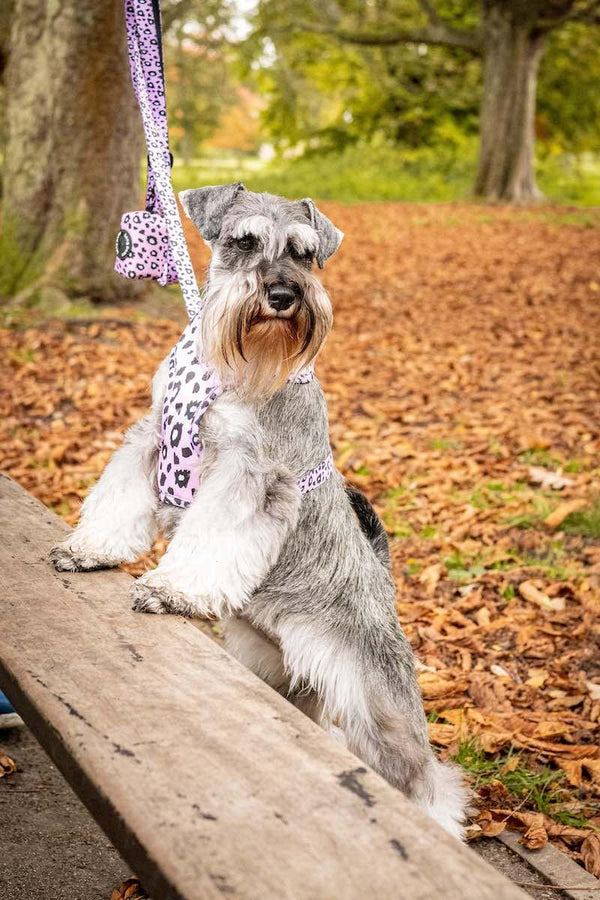 Funk The Dog Harness | Pink Leopard - Long Paws