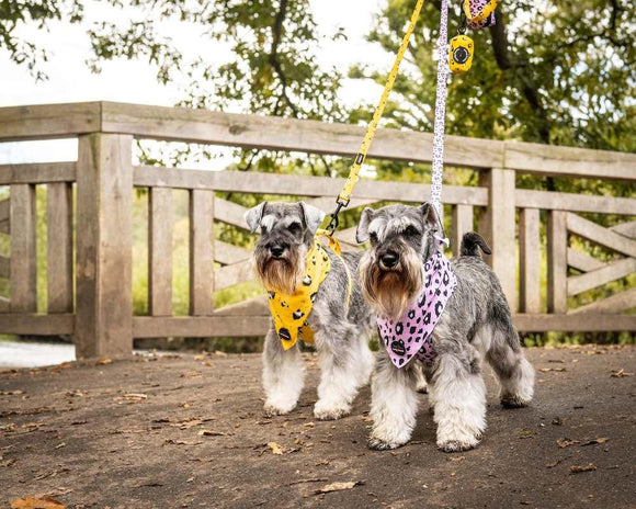 Funk The Dog Bandana | Pink Leopard - Long Paws