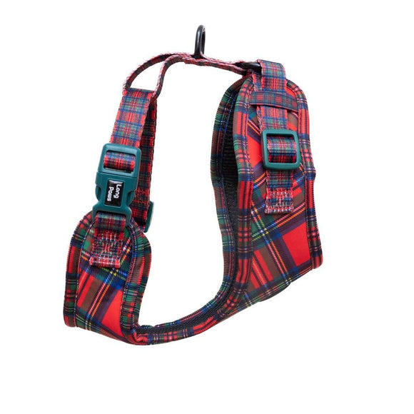 Ftd redtraditionalchristmas harness06