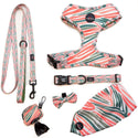 Funk The Dog Lead | PinkGreen Zebra - Long Paws