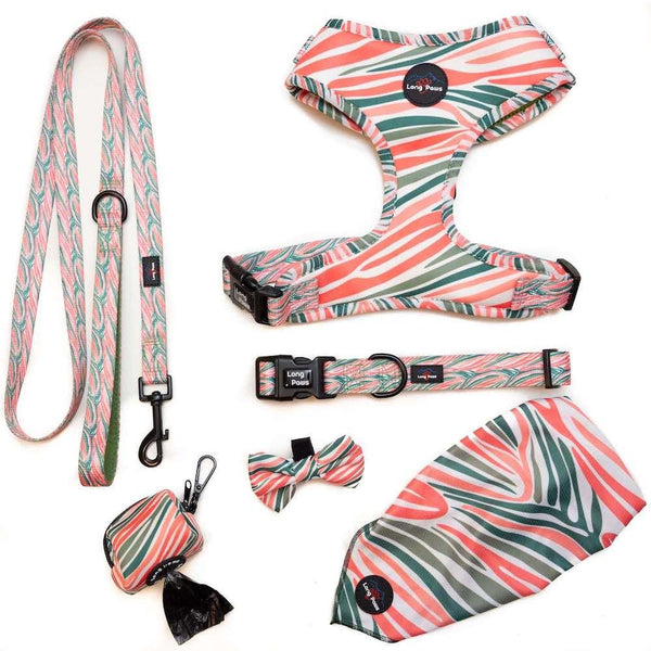 Funk The Dog Collar | PinkGreen Zebra - Long Paws