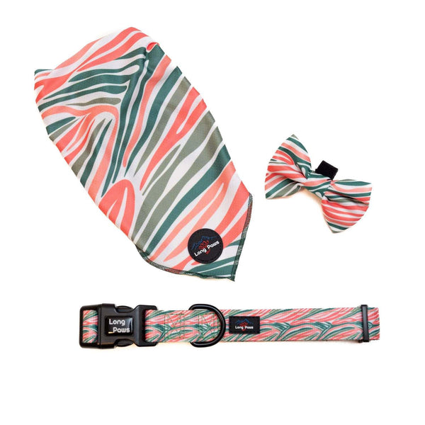 Funk The Dog Bow Tie | PinkGreen Zebra - Long Paws