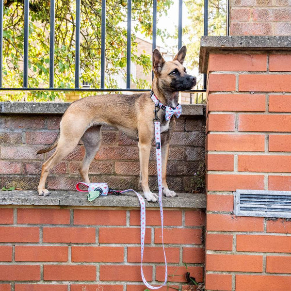 Funk The Dog Poo Bag Dispenser Pouch | Blue St George's Heart