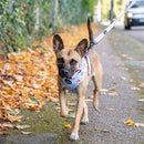 Funk The Dog Lead | St George's Heart-4