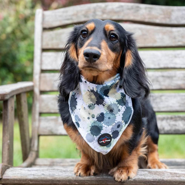 Funk the Dog Bandana | Paint Splodge Grey - Long Paws