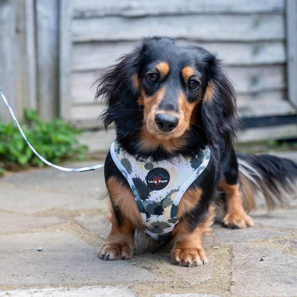 Funk the Dog Harness | Paint Splodge Grey - Long Paws