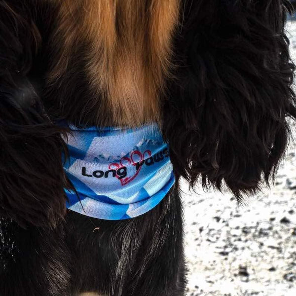 PupStretch Geo Dog Bandanas - Blue Geo - Long Paws