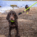 Neon Collar & Reflective Rope Lead Set - Long Paws