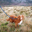 Comfort Rope Lead | SLIDE Lock | Navy Blue | 30in / 75cm