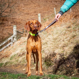 Safety Belt Strap | Close Control Lead - Long Paws