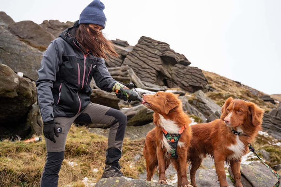 Hiker Duo - Long Paws