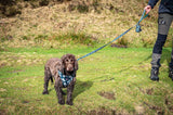 Funk the Dog Lead | Llama Llama Llama - Long Paws
