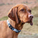 Funk the Dog Collar & Lead Set | Paint Splodge Grey-5