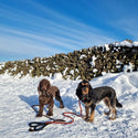 Red Dog Lead | Soft Padded Neoprene Handle With Locking Clip For Outdoor Activities | Short Dog Leash Length 75cm / 30in