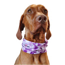 PupStretch Geo Dog Bandanas - Purple Geo-3