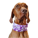PupStretch Geo Dog Bandanas - Purple Geo