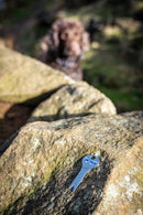 TickPick - Portable Tick Remover - Long Paws