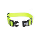 Neon Dog Collar - Long Paws