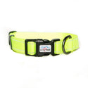 Neon Collar & Webbing Lead Set - Long Paws