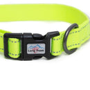 Neon Dog Collar - Long Paws